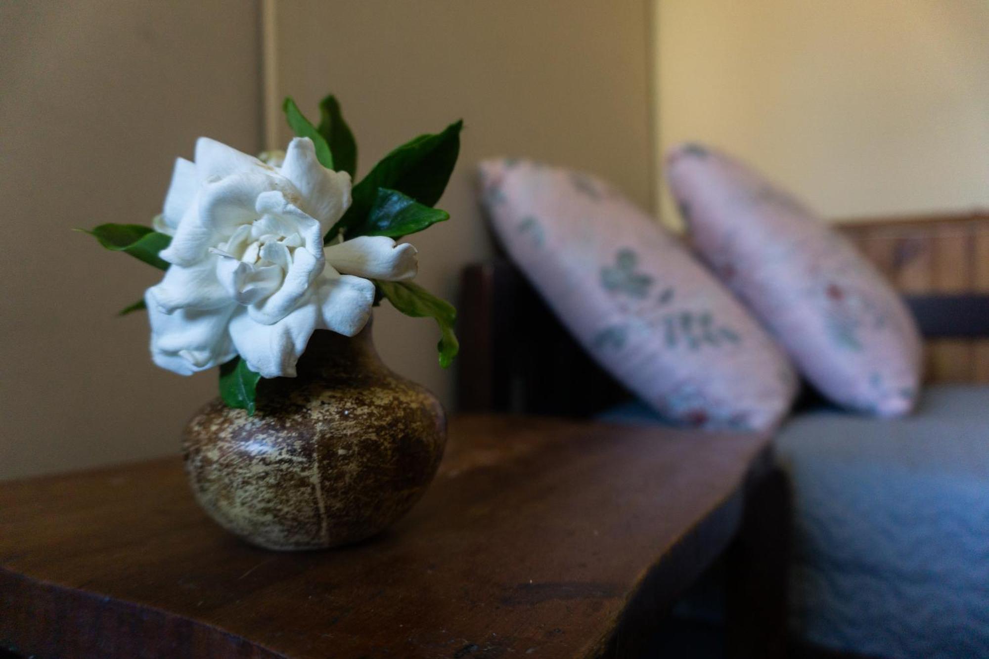 Mi Casa Es Tu Casa Leilighet Melo Eksteriør bilde